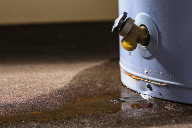 Best Commercial water damage restoration  in Crawfordville, FL