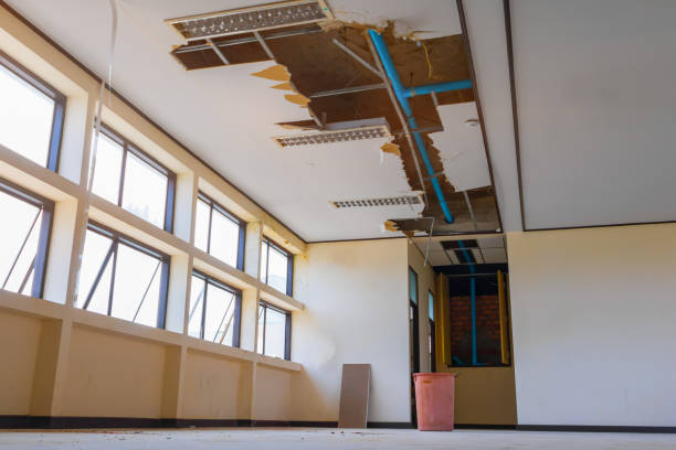 Best Flood damage cleanup  in Crawfordville, FL