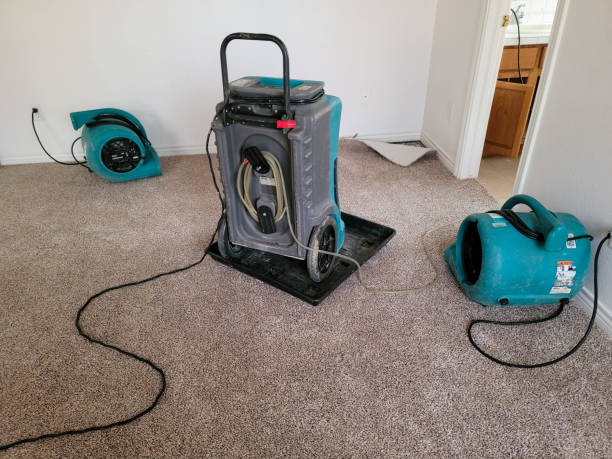 Best Residential water damage restoration  in Crawfordville, FL