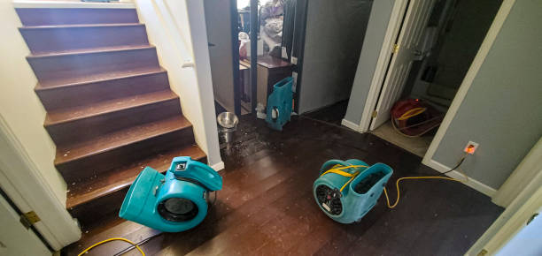 Sewage cleanup and water damage restoration in Crawfordville, FL