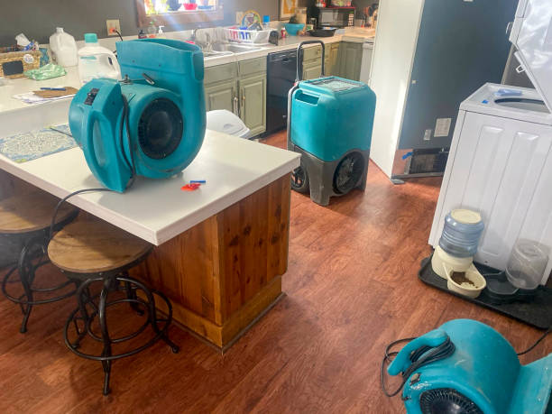 Best Water damage repair service  in Crawfordville, FL