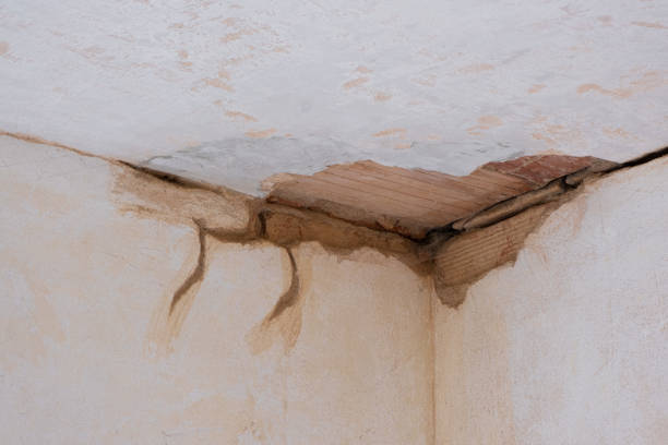 Best Residential water damage restoration  in Crawfordville, FL
