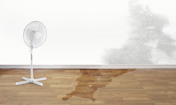 Professional Water damage restoration in Crawfordville, FL