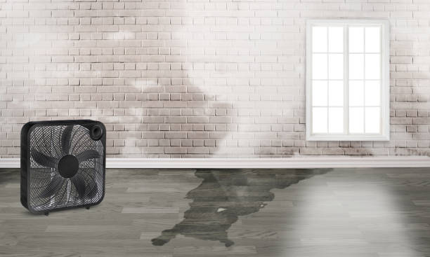Best 24/7 water damage repair  in Crawfordville, FL