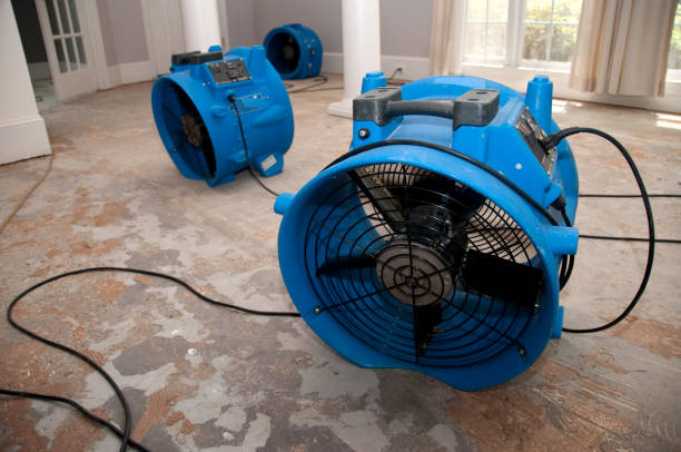 Best Basement water damage restoration  in Crawfordville, FL
