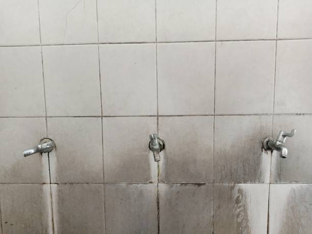 Best Flood restoration services  in Crawfordville, FL