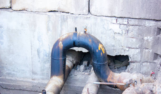 Best Carpet water damage restoration  in Crawfordville, FL