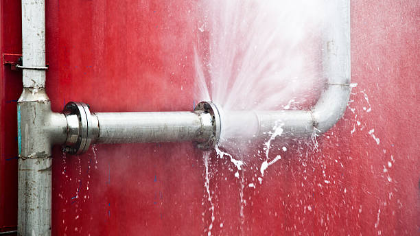 Best Ceiling water damage repair  in Crawfordville, FL